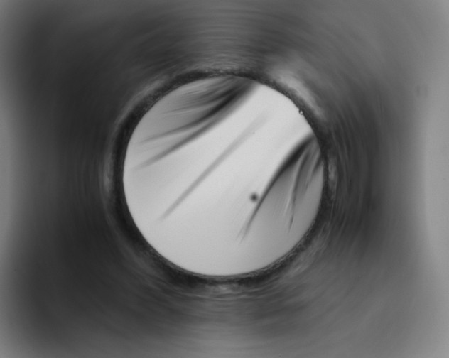 X0000094930396200712271557