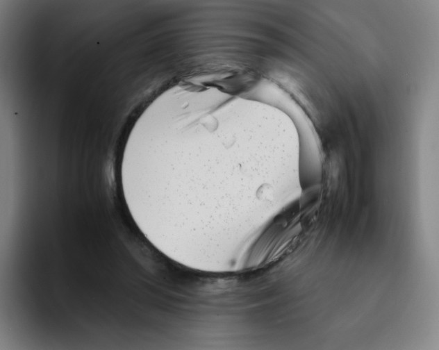 X0000094930398200712271557
