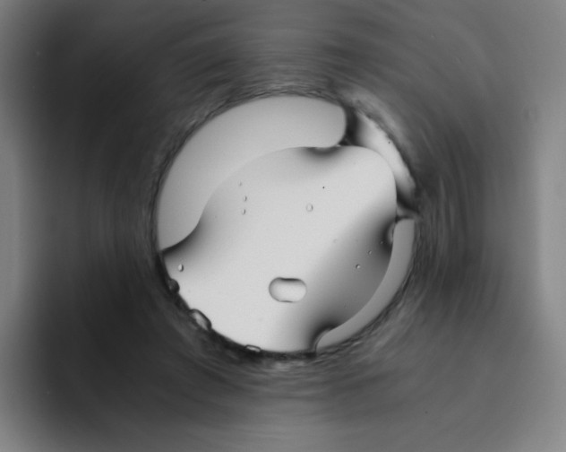 X0000094930401200712271557