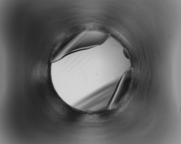 X0000094930403200712271557