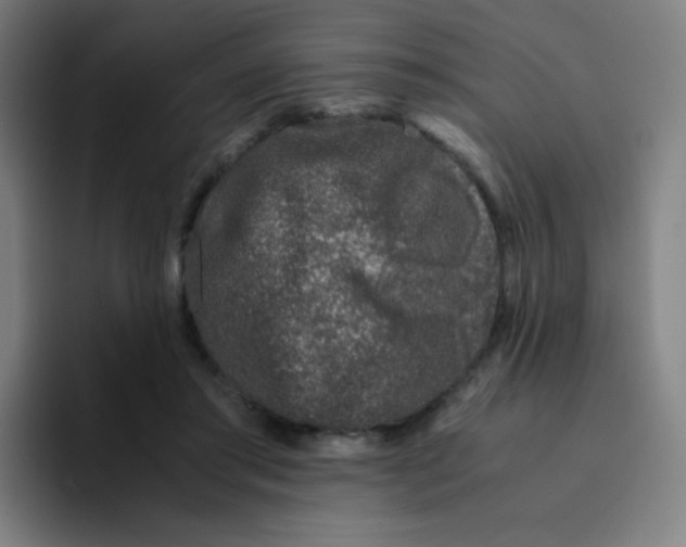 X0000094930405200712271557