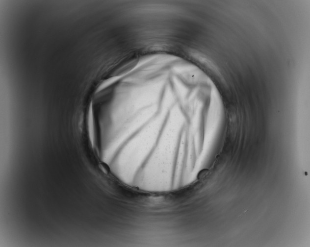 X0000094930406200712271557