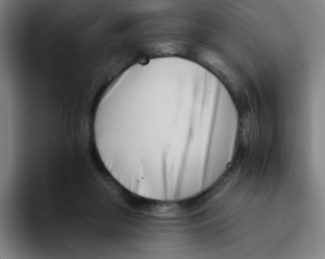 X0000094930410200712271557