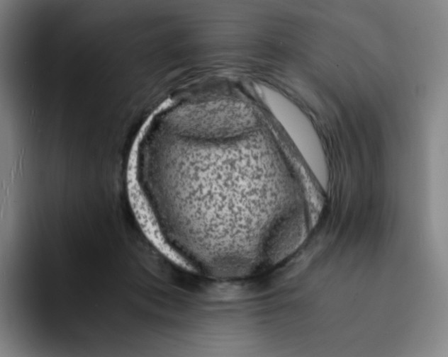 X0000094930413200712271557