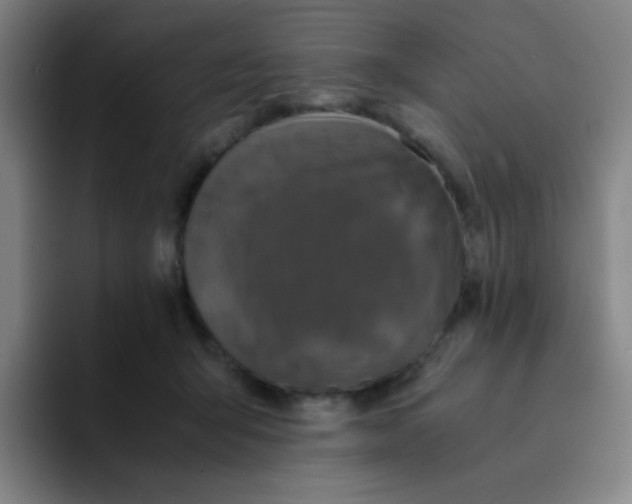 X0000094930415200712271556