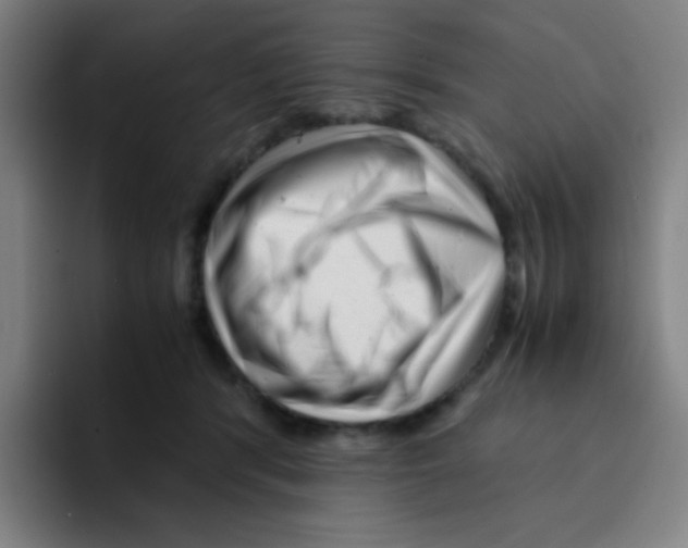 X0000094930416200712271556