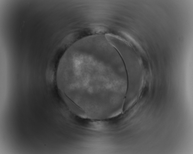 X0000094930417200712271556