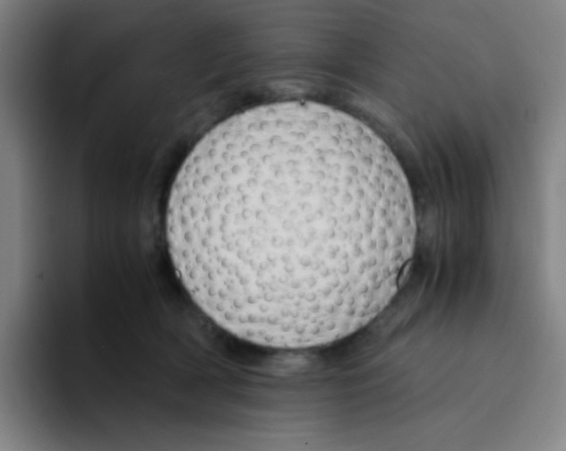 X0000094930418200712271556