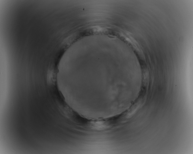 X0000094930419200712271556