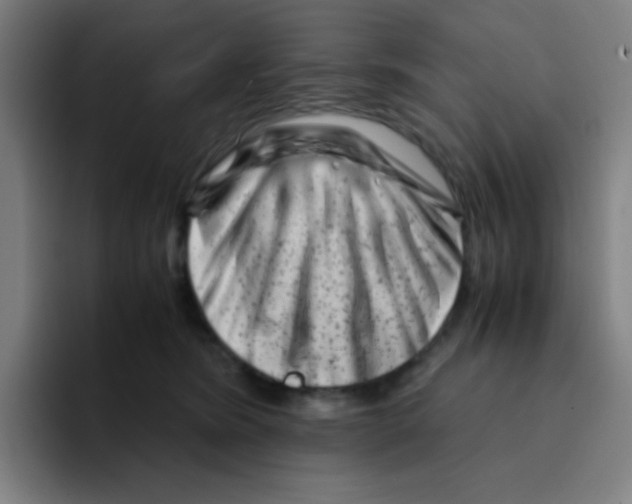 X0000094930420200712271556