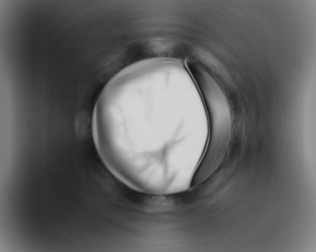 X0000094930421200712271556