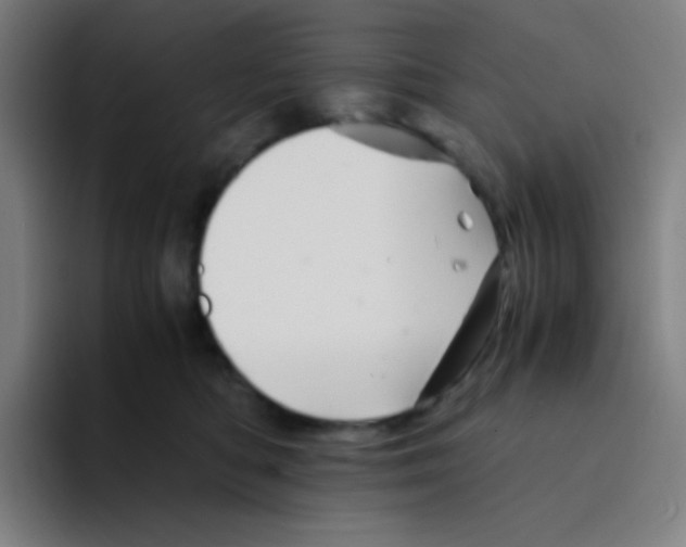 X0000094930422200712271556