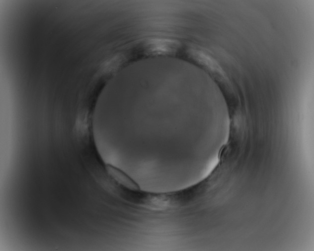 X0000094930423200712271556