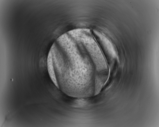 X0000094930425200712271556