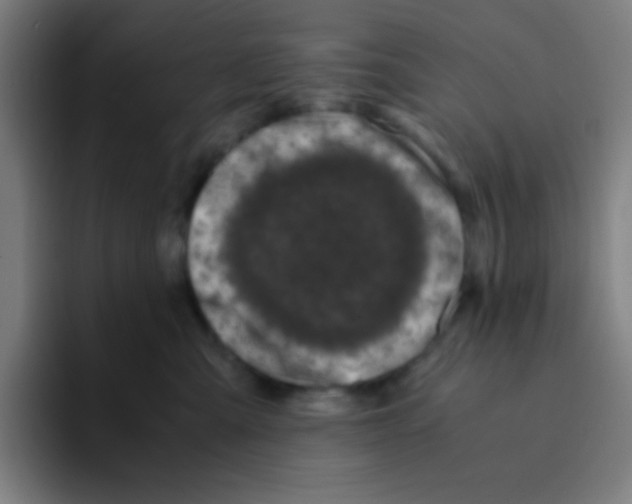 X0000094930427200712271556