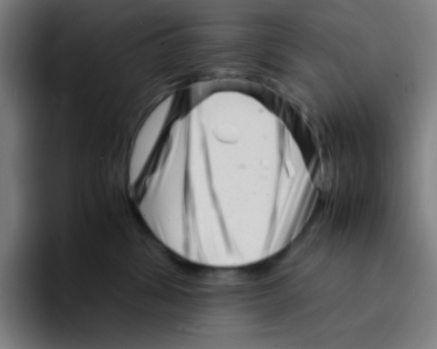 X0000094930428200712271556