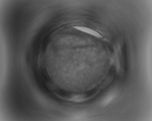 X0000094930431200712271556