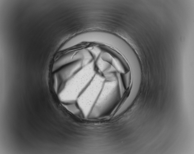 X0000094930434200712271556