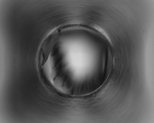 X0000094930436200712271556