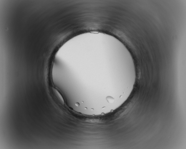 X0000094930440200712271556