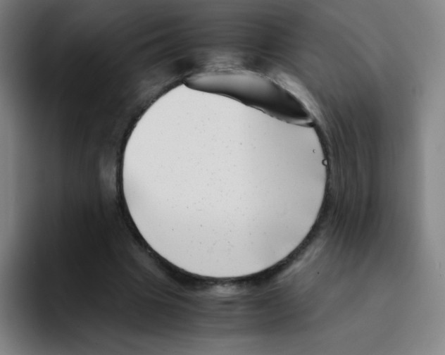 X0000094930441200712271556