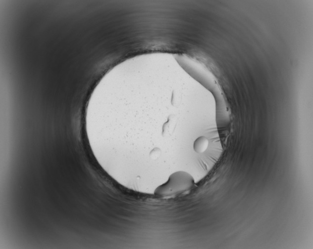 X0000094930442200712271556