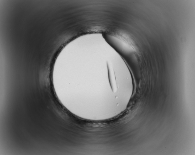 X0000094930443200712271556