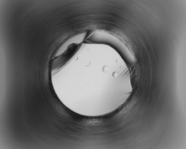 X0000094930445200712271556