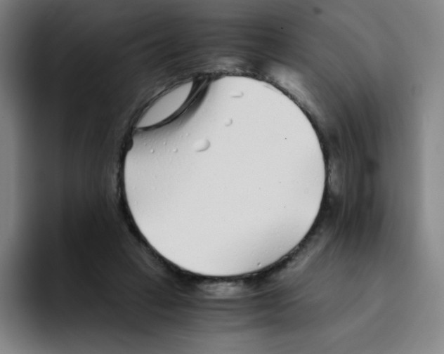X0000094930449200712271556