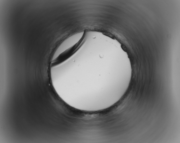 X0000094930450200712271556
