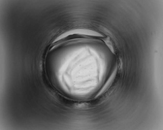 X0000094930452200712271556