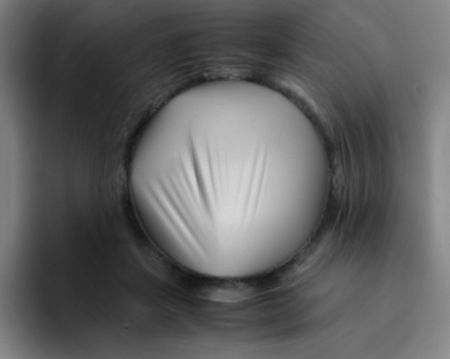 X0000094930459200712271556
