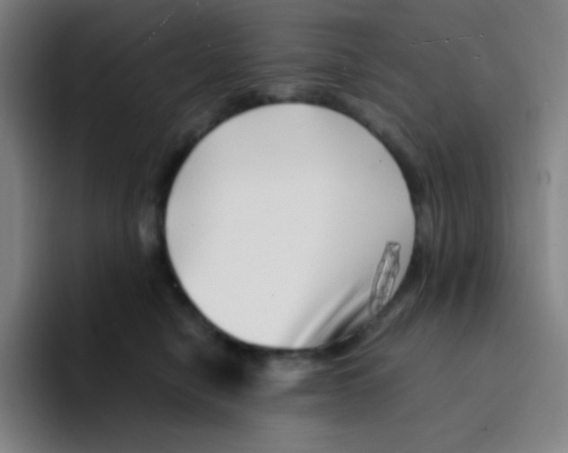 X0000094930470200712271556