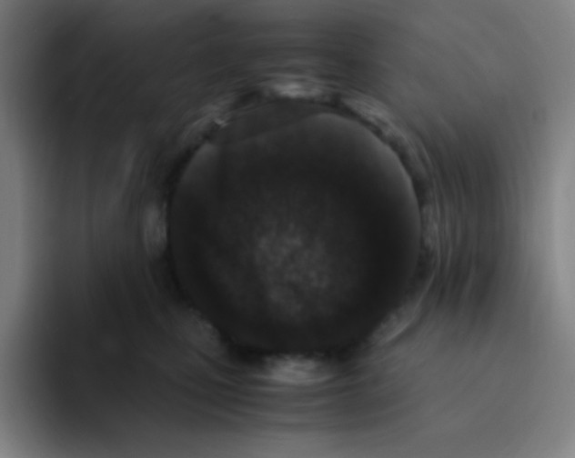 X0000094930471200712271556