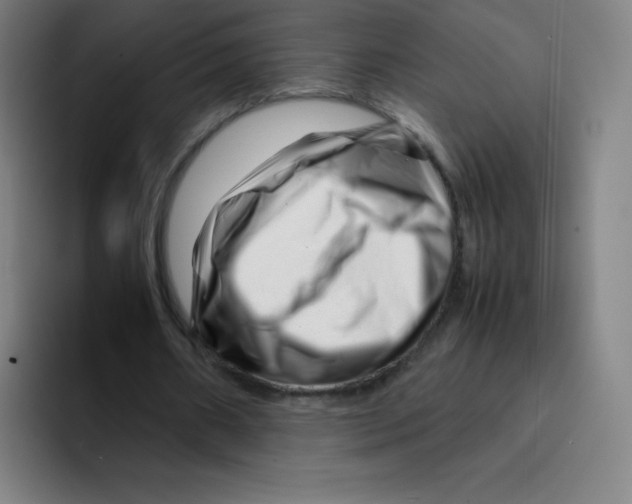 X0000094930482200712271556