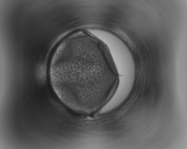 X0000094930484200712271556