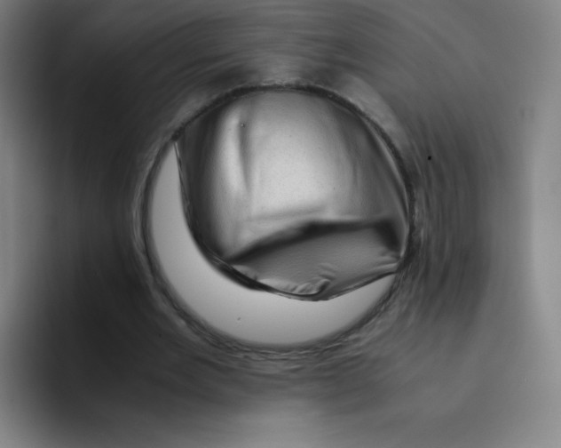 X0000094930485200712271556