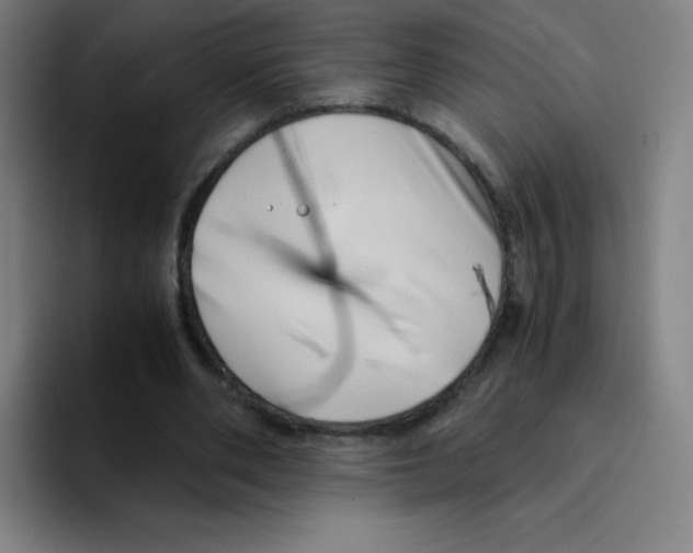 X0000094930486200712271556