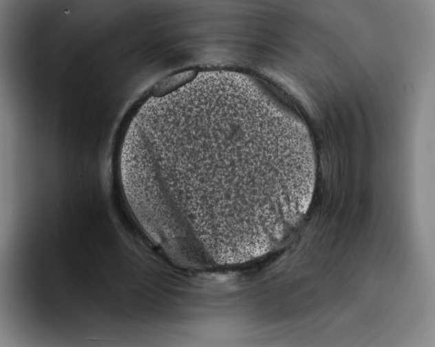 X0000094930488200712271556