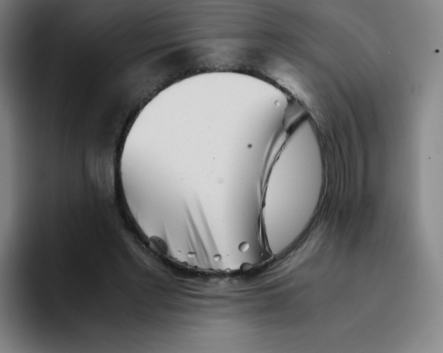 X0000094930493200712271555