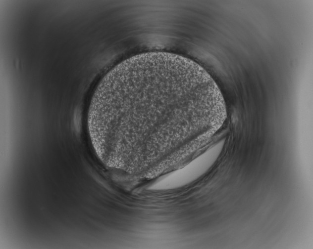 X0000094930496200712271555