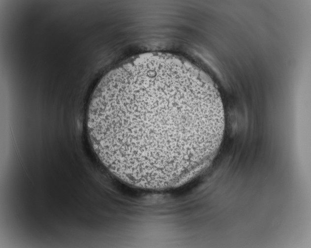 X0000094930499200712271555