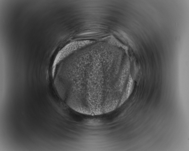 X0000094930500200712271555