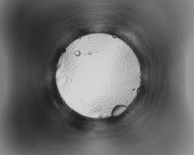 X0000094930503200712271555