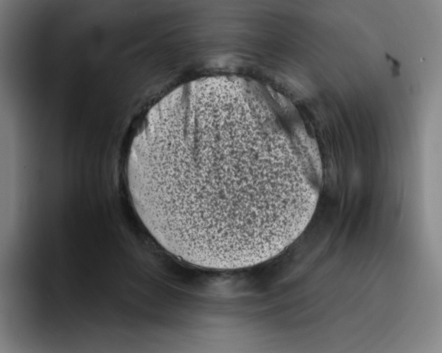 X0000094930504200712271555