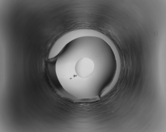 X0000094930508200712271555