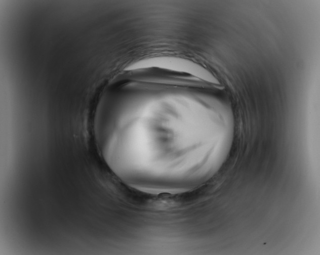 X0000094930512200712271555