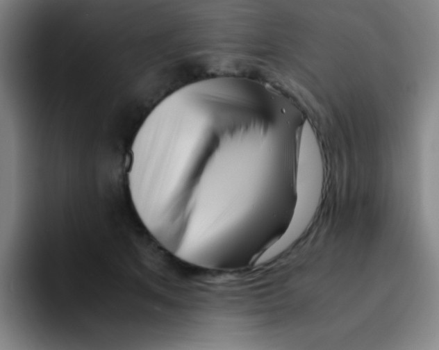 X0000094930513200712271555