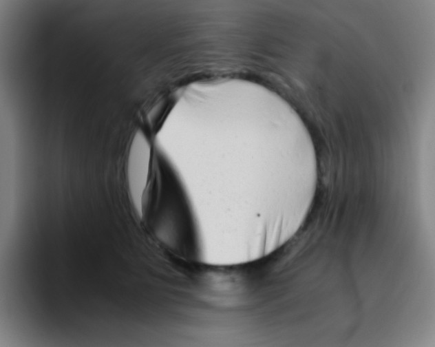 X0000094930515200712271555