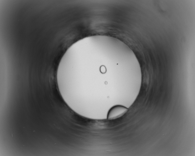 X0000094930518200712271555